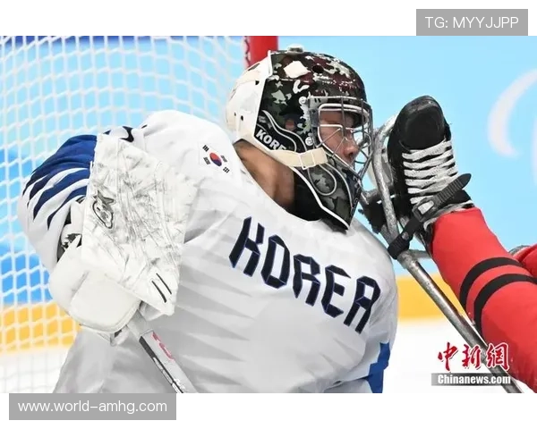 皇冠新体育网站提供专业的体育数据分析,帮助用户做出更明智的投注决策