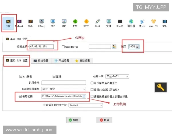 皇冠登录入口的使用方法详解，帮助新手快速掌握登录流程与技巧