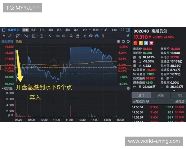 专业皇冠官网平台出租服务助力游戏开发商快速上线实现盈利目标