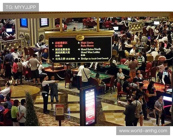 在维多利亚真人国际享受多样化的真人百家乐、轮盘、骰宝等经典游戏，体验真实赌场氛围