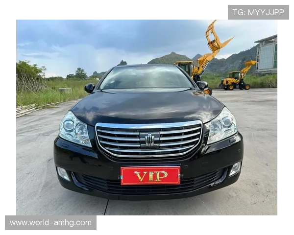 皇冠vip站安全可靠吗用户真实体验与评价全面分析